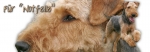 Spardose Airedale Terrier #2